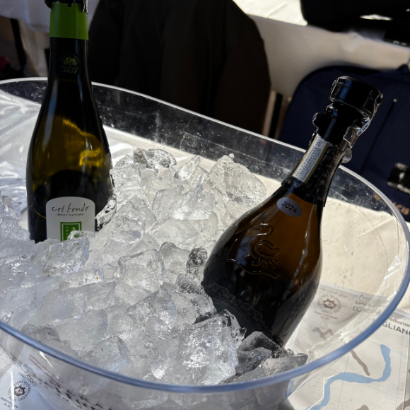 MERANO WINE FESTIVAL GHIACCIO