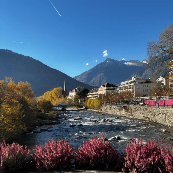 MERANO CON FREDD E SAMOT